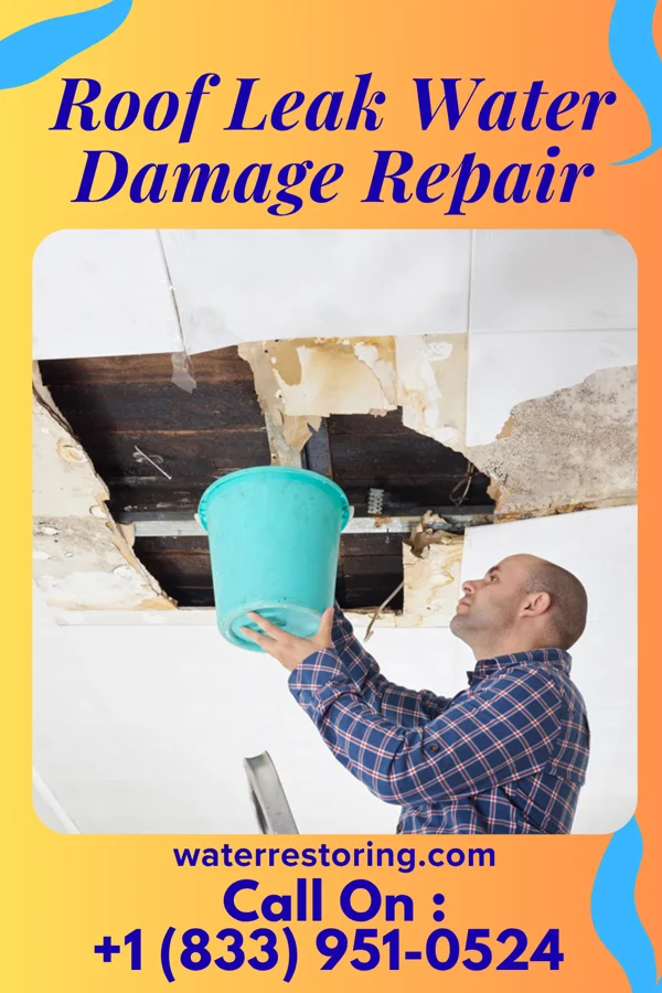 Roof Leak Water Damage Repair in Mabton, WA