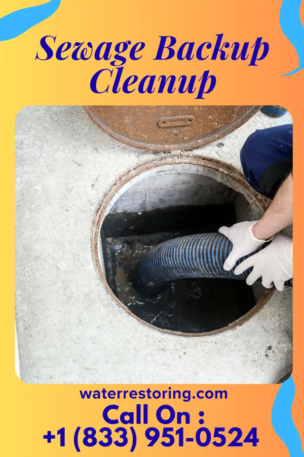 Sewage Backup Cleanup in Mabton, WA