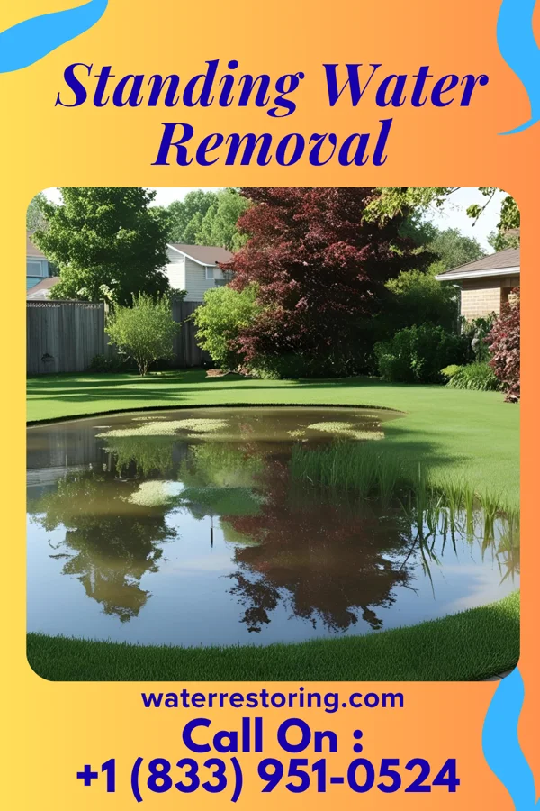 Standing Water Removal in Mabton, WA